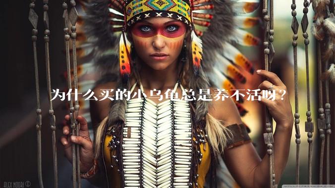 为什么买的小乌龟总是养不活呀？