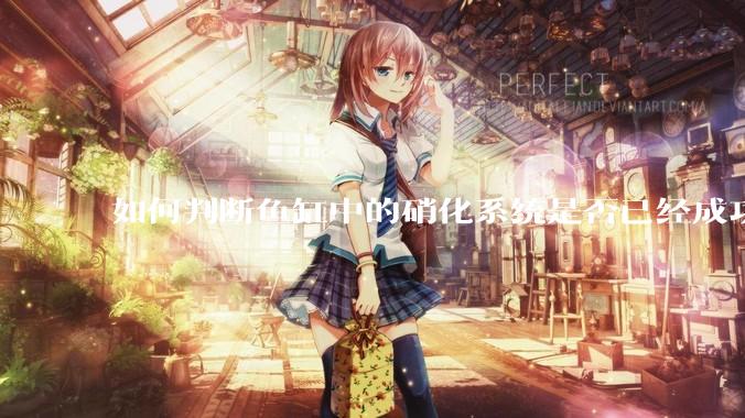 如何判断鱼缸中的硝化系统是否已经成功建立？